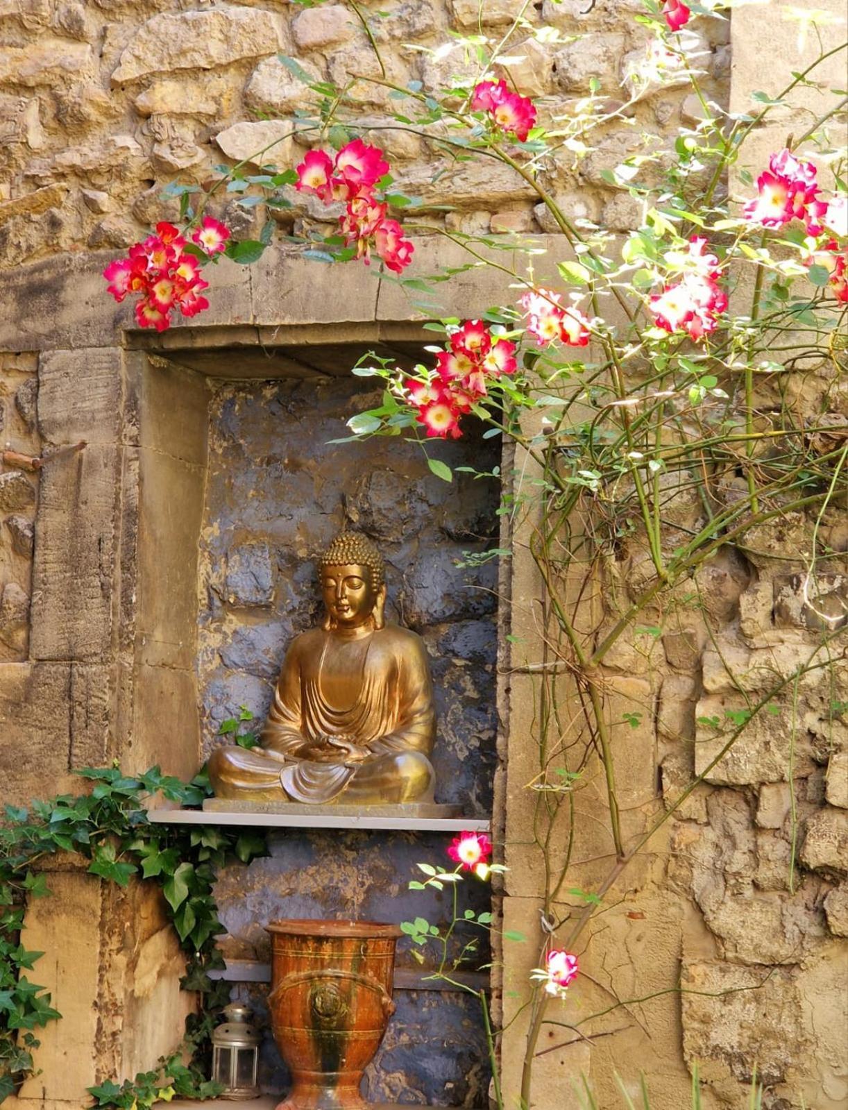 Capucines, Un Jardin Secret Dans Le Centre Historique Apartment Arles Ngoại thất bức ảnh