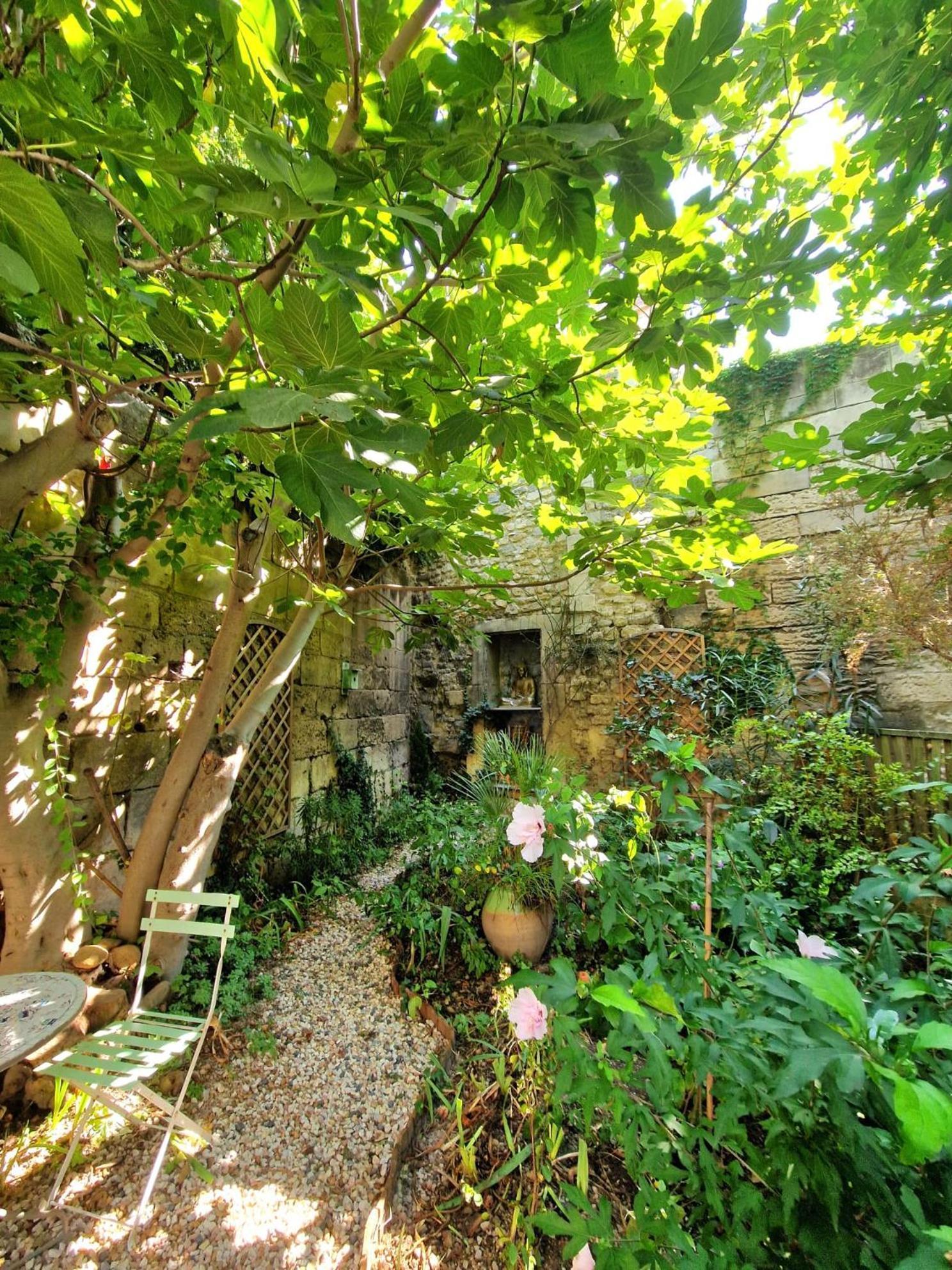 Capucines, Un Jardin Secret Dans Le Centre Historique Apartment Arles Ngoại thất bức ảnh